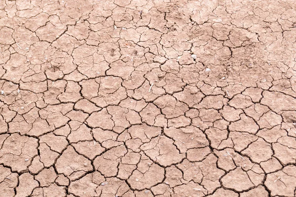 Dry cracked earth background, clay desert texture — Stock Photo, Image