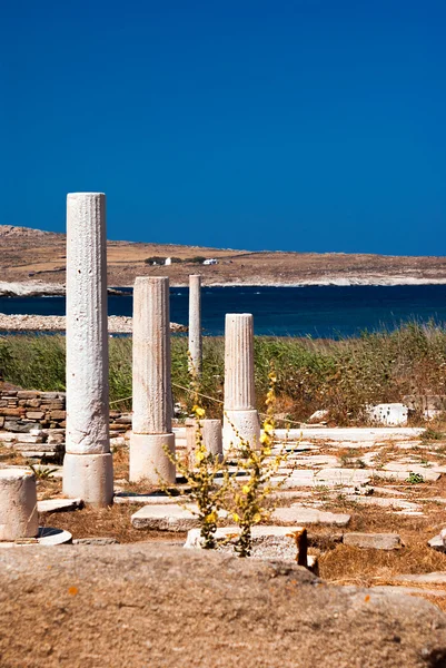 Capital da coluna jónica, detalhe arquitectónico na ilha de Delos, Gre — Fotografia de Stock