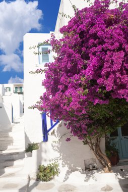 geleneksel Yunan alley mykonos island, Yunanistan