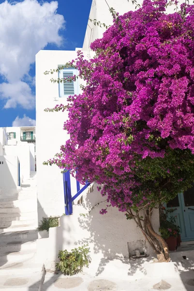 Vicolo tradizionale greco sull'isola di Mykonos, Grecia — Foto Stock