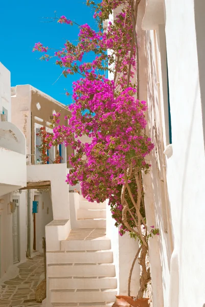 Traditional greek house on Sifnos island, Greece — Stock Photo, Image