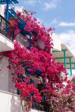 Yunanistan 'ın Sifnos adasındaki geleneksel Yunan sokağı