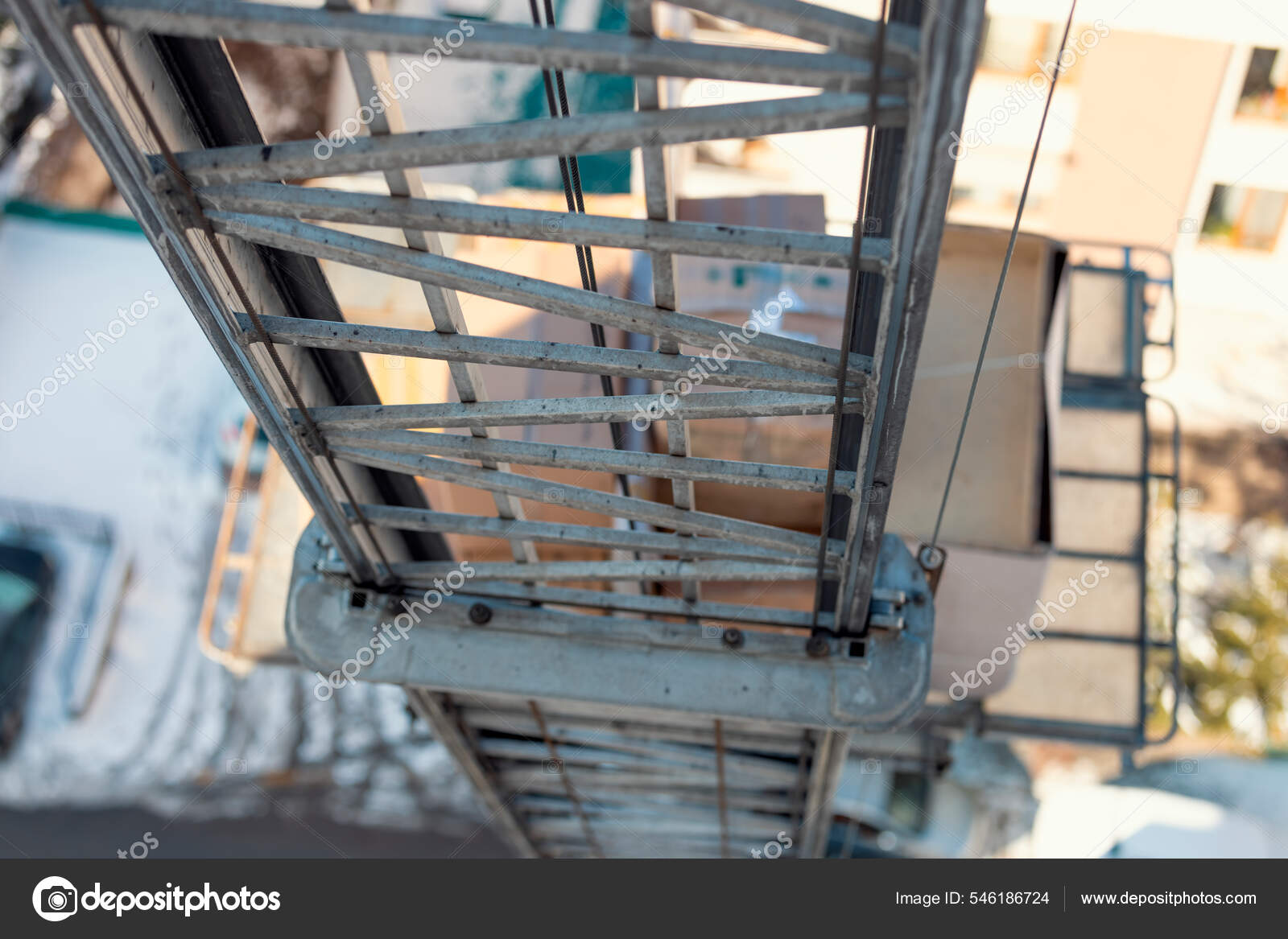 公文夹 Micrologia 图库照片 插图和矢量艺术 Depositphotos