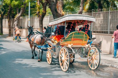 İstanbul, TURKEY: 01 Mayıs 2019: Phaeton I Fayton halkı. Büyükada I Prince Adası 'nda popüler bir at taşıma aracı ve sembol. Faz kullanımı hayvan haklarının ihmalinden dolayı sonlandırıldı..