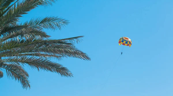 Kleurrijke Parachute Palmboom Voor Heldere Blauwe Lucht Zomervakantie Summertime Achtergrond — Stockfoto