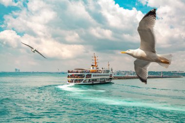 İstanbul 'da bulutlu bir günde 124ncü yolcu feribotunun önünde uçan martılar; boğaz boğazında süzülen buhar. İstanbul 'da sevilen eski bir ulaşım aracı. Uzaktaki bulanık şehir manzarası.