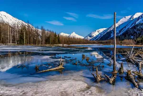 Adembenemende schoonheid van een landschap van Alaska met gedeeltelijk bevroren meer, logboeken, bomen en bergen. — Stockfoto