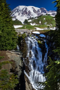 myrtle dikey atış ile ahşap köprü şapkalı kar mount rainier düşer..