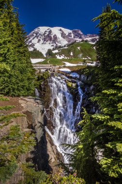 myrtle dikey atış ile ahşap köprü şapkalı kar mount rainier düşer..