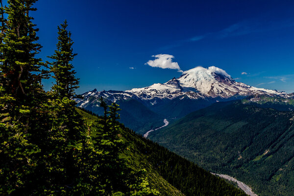 A Distance View of Snow Capped Mount Rainier with Trees and Valley.