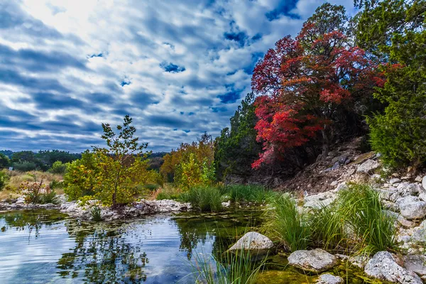 Ljusa röda falla lövverk på ström i förlorade lönnar state park i texas. Stockbild