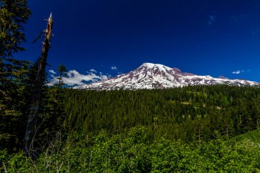 mount rainier, washington, geniş açılı görünüş.