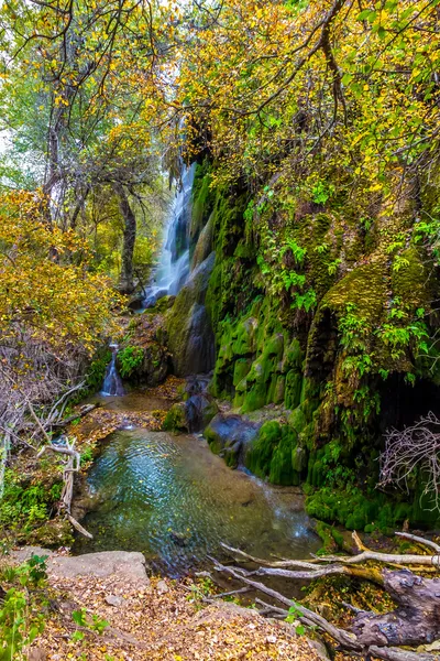 如诗如画的戈尔曼超现实图像瀑布被明亮秋天树叶和绿色的青苔包围. — 图库照片