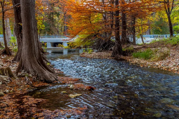 Ponte Branca e Cores de Queda Impressionantes de Árvores de Cipreste do Texas Rodeando as Correntes de Campo Crystal Clear Texas Hill em torno do Rio Guadalupe . — Fotografia de Stock