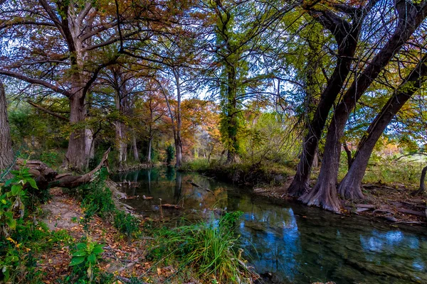 Fantastiska höstfärger texas cypress träd omger kristallklart texas hill country strömmar runt floden guadalupe. — Stockfoto