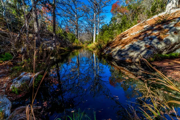 Vackra reflektioner i tydlig hamilton creek omgivet av vinter träd. — Stockfoto