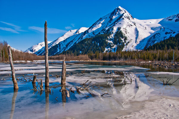 Partially Frozen Lake with Mountain Range Reflected in the Great Alaskan Wilderness.