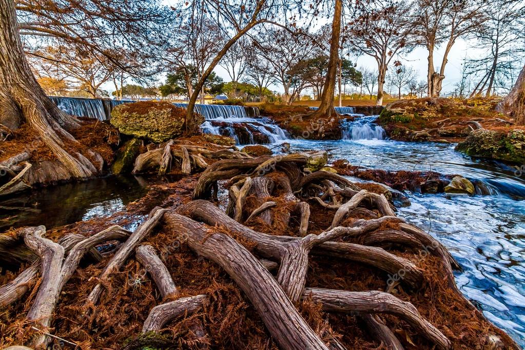 Stunning Fall Colors of Texas Cypress Trees Surrounding the Crystal