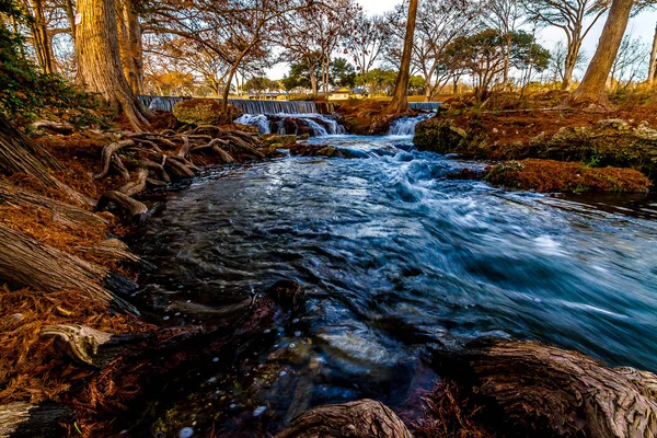 Swift Stream da una bella cascata che scorre con grandi cipressi e radici giganti Gnarly — Foto Stock