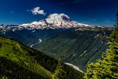 deep river valley, açık mavi gökyüzü, yeşil çam ağaçları ve gevrek dağ havası ile mount rainier güzel kar maskeli.