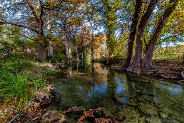 büyük servi ağaçları bir kristal berraklığında texas hill ülke akışını astar çarpıcı sonbahar renkle.