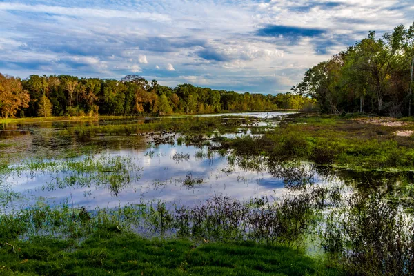 Hermosas reflexiones fascinantes de nubes increíbles en el colorido lago Creekfield, Texas . —  Fotos de Stock