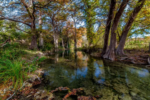 Velkých cypřišů s ohromující podzimní barevné listí obložení proud průzračného texas hill země. — Stock fotografie