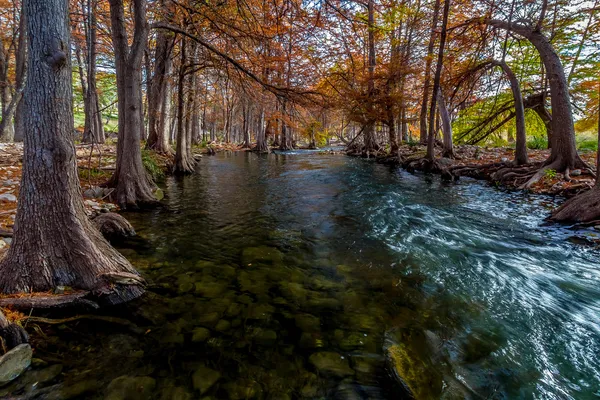 Interessant perspectief van prachtige val kleuren van texas cipressen rond het kristal duidelijk texas heuvel land guadalupe river. — Stockfoto