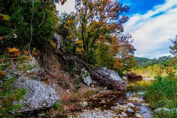 Uma cena pitoresca estourando com bela folhagem de queda e grandes pedras de granito em um riacho tranquilo no Lost Maples State Park, no Texas . — Fotografia de Stock