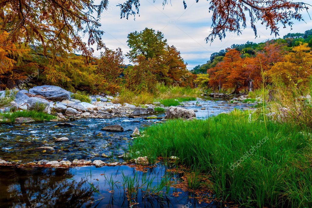 Stunning Fall Colors of Texas Cypress Trees Surrounding the Crystal Clear Texas Hill Country Pedernales Rivers. Fast water, green grasses, rocky stream, clear water, bright foliage, and fall trees.
