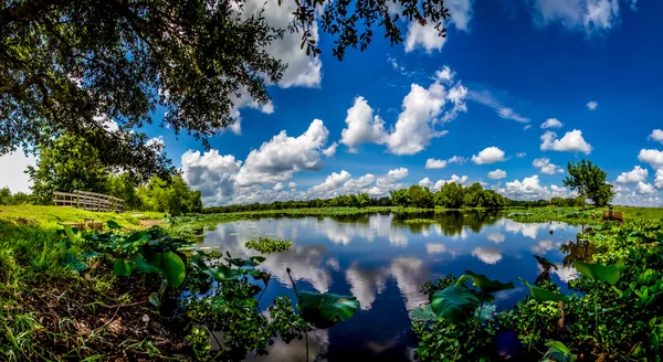 Высокое разрешение, красочный, панорамный снимок красивого озера 40 акров в Техасе — стоковое фото