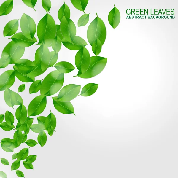 Background with fresh green leaves — Stock Vector