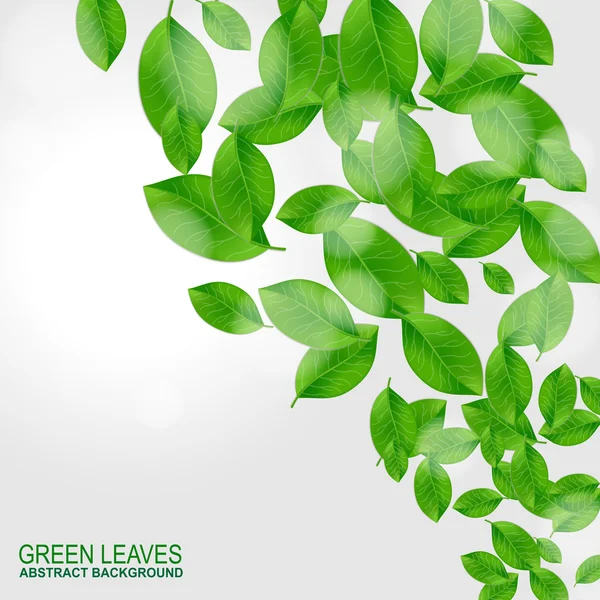 Background with fresh green leaves — Stock Vector