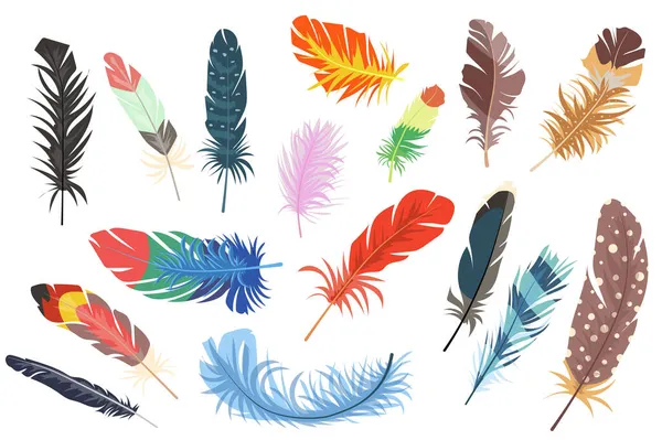 Plumes éléments isolés ensemble. Lot de différents types de plumes d'oiseaux brillantes colorées des ailes. Signes de chute de plumage multicolore. Kit de création pour illustration vectorielle en dessin animé plat — Image vectorielle