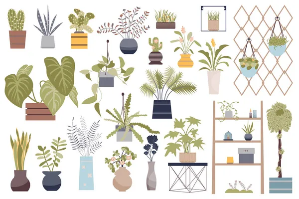 Plantes maison éléments isolés ensemble. Bundle de plantes d'intérieur en pot domestiques et fleurs en fleurs, étagères avec des pots, plantes suspendues et autres. Kit de création pour illustration vectorielle en dessin animé plat — Image vectorielle