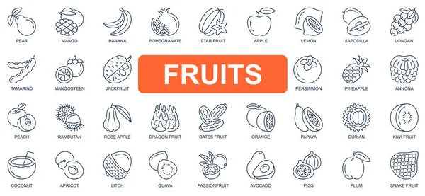 Meyve kavramı basit çizgi simgeleri ayarlandı. Mango, muz, nar, elma, limon, mangosteen, Jackfruit, ananas ve diğer şeylerin ana hatları. Web sitesi ve mobil uygulama tasarımı için vektör simgeleri — Stok Vektör
