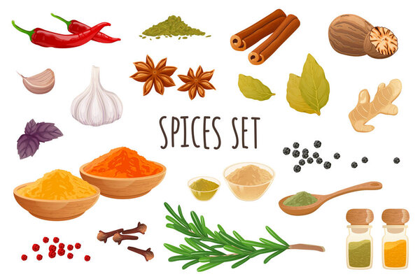 Spices icon set in realistic 3d design. Bundle of chilli, cinnamon, garlic, ginger, rosemary, nutmeg, cloves, star anise and other. Cooking collection. Illustration isolated on white background
