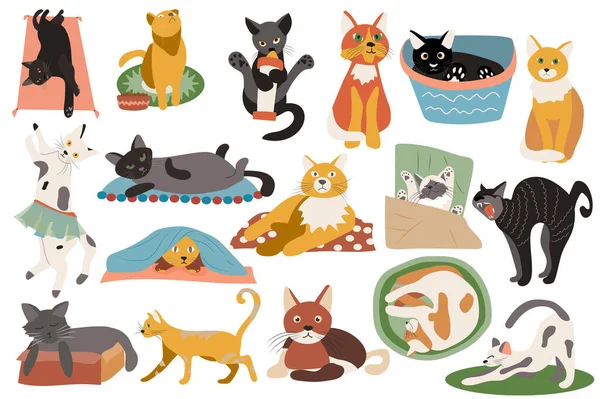 Cute cats isolated elements set. Bundle of kittens lying, sitting, sleeping, playing, expression of emotions and scenes of domestic animals. Creator kit for illustration in flat cartoon design — Fotografia de Stock