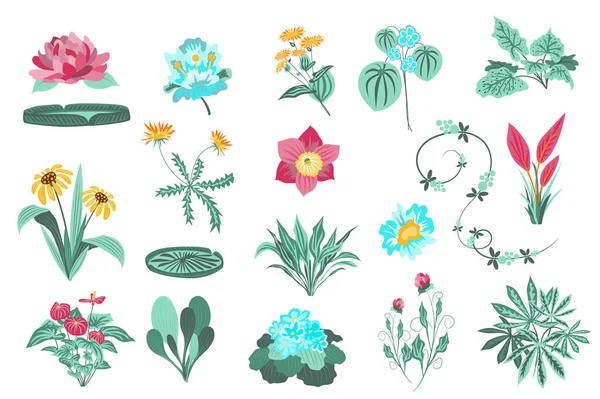 Flower and plants isolated set. Garden and wild foliage, green leaves, blooming wildflowers, flowering plants, beautiful herbs. Bundle of floral elements. Illustration in hand drawn design — Zdjęcie stockowe