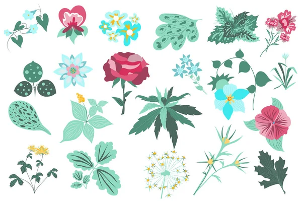 Flower and plants isolated set. Rose, green leaves, blooming wildflowers, flowering plants. Garden and wild foliage botanical decor. Bundle of floral elements. Illustration in hand drawn design — Zdjęcie stockowe