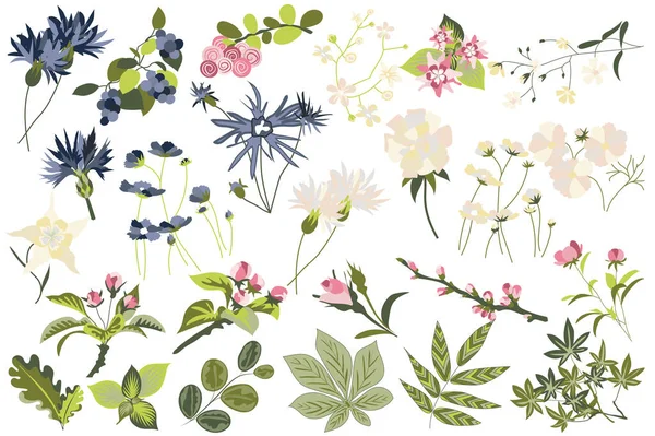 Flower and plants isolated set. Flowering garden and blooming wildflowers different types. Green leaves, beautiful herbs and other. Bundle of floral elements. Illustration in hand drawn design — Stockfoto