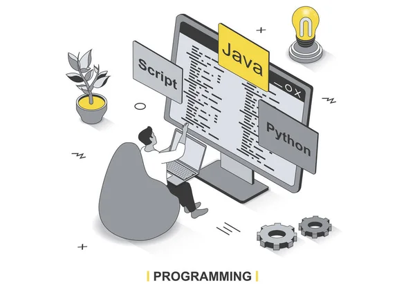 3D izometrik tasarım programlama konsepti. Geliştirici kodla çalışır, Java ve Python 'da kodlar, betikler yazar, yazılım geliştirir, satır şablonu oluşturur. İnsan sahnesi ile vektör illüstrasyonu — Stok Vektör