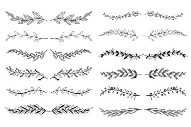 Çiçek süsleme bölmeleri elle çizilmiş. Bitkiler ve ince dallar elementleri canlandırıyor. Bir sürü botanik süs tomarı süsleme ve dekoratif dal. Vektör illüstrasyonu izole edildi