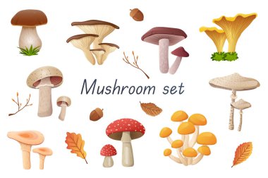 Mushrooms 3d realistic set. Bundle of cep, russula, golden chanterelle, champignon, boletus, fly agaric, oyster mushrooms and other edible or non-edible fungus isolated elements.Vector illustration