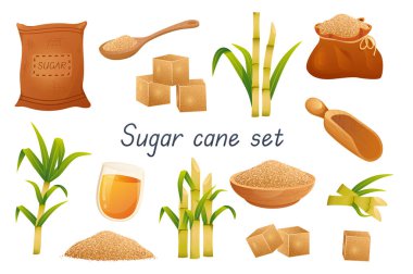Sugar cane 3d realistic set. Bundle of bags, sugar cubes, granular sweetener on spoon or plate, sugarcane leaf plants, rum alcoholic liquid in glass and other isolated elements.Vector illustration
