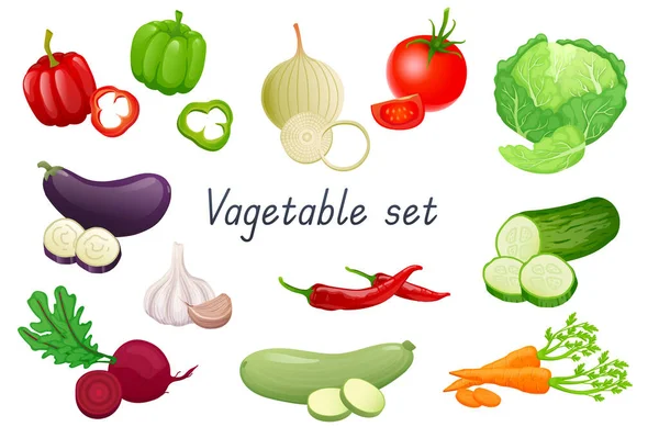 Vegetable Realistic Set Bundle Pepper Onion Tomato Cabbage Eggplant Beetroot — Stok Vektör
