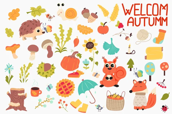 Podzim Roztomilý Set Plochém Kresleném Designu Svazek Listů Ježka Hlemýždě — Stock fotografie