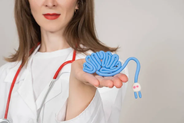 Brain model in hands doctor. Blue brain model with socket. Concept is development of human intelligence. Study of central nervous system. Studying development of intellect. Woman stretches her brain