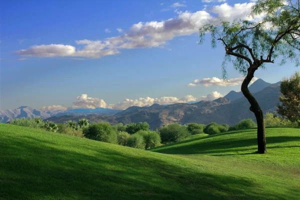 Rolling Hills y montañas Imagen de stock