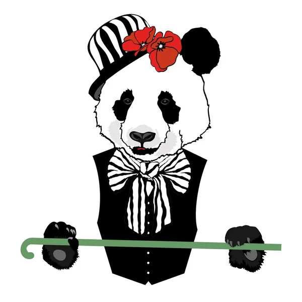 Panda im Zirkus — Stockvektor